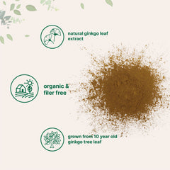 Micro Ingredients polvo de ginkgo mezclado en batido nutritivo, uso práctico