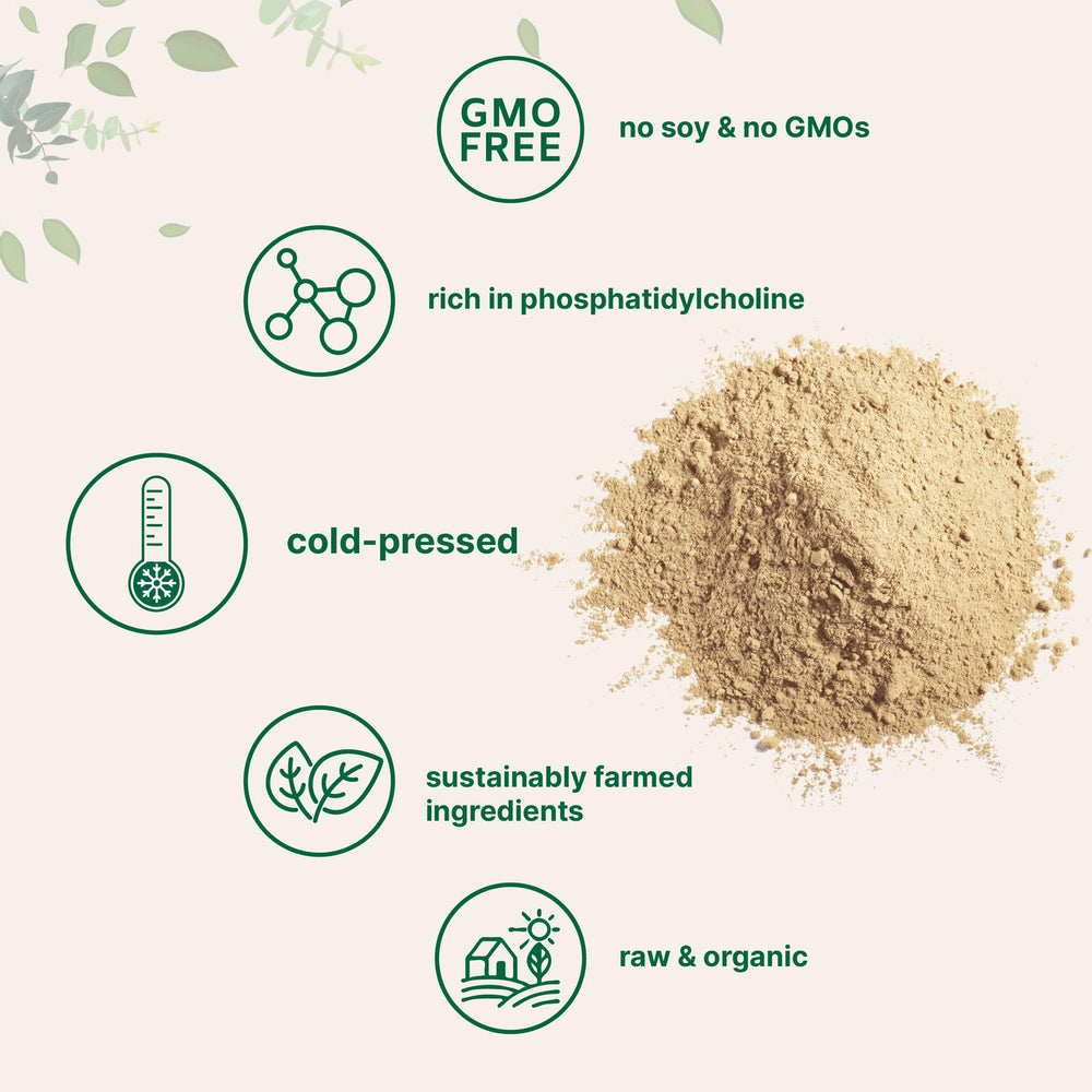Micro Ingredients batido cremoso con lecitina de girasol para mejorar textura
