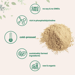 Micro Ingredients batido cremoso con lecitina de girasol para mejorar textura