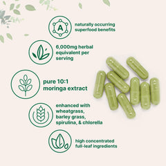 Micro Ingredients polvo de moringa y supergreens textura fina y uso versátil