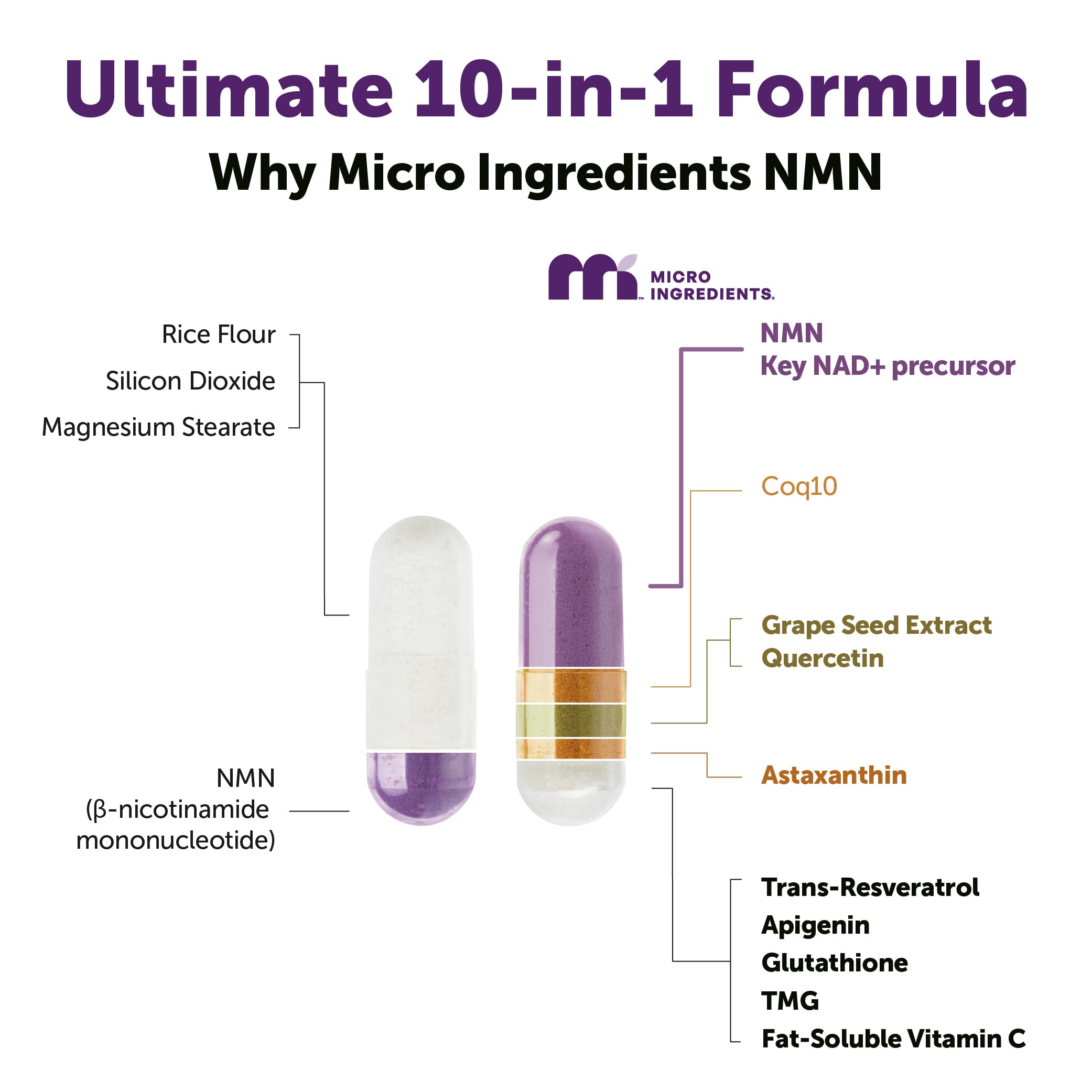 Micro Ingredients ingredientes activos en primer plano para claridad