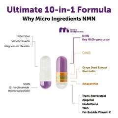Micro Ingredients ingredientes activos en primer plano para claridad