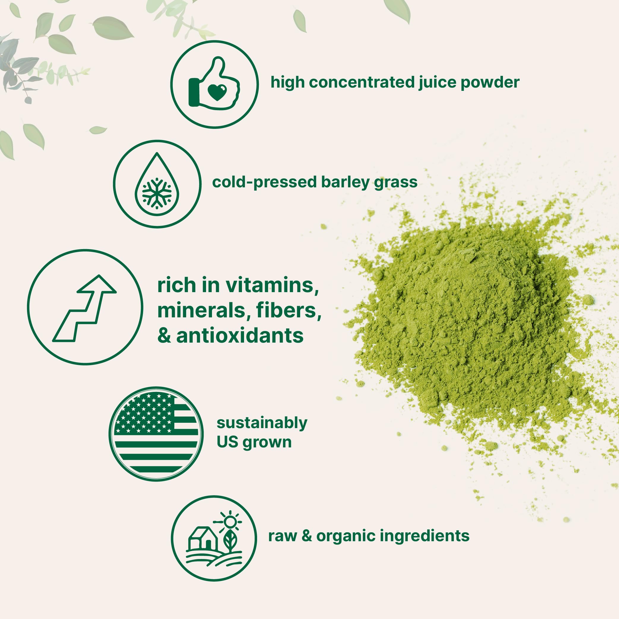 Micro Ingredients polvo disuelto en batido vegetal listo para consumir
