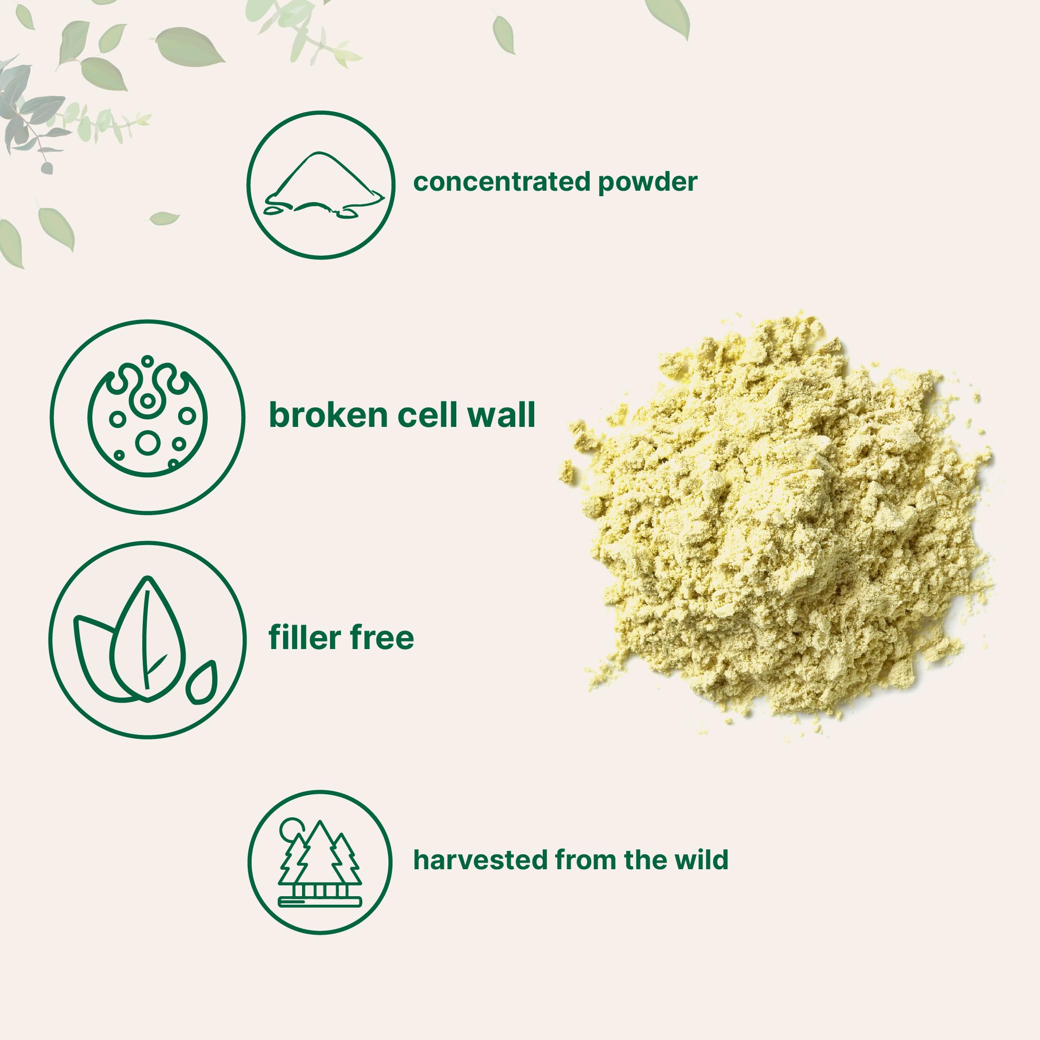 Micro Ingredients polvo de polen en batido, aporta energía fácil de mezclar
