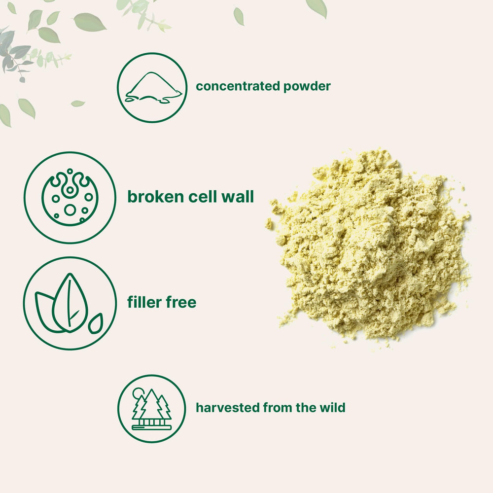 Micro Ingredients polvo de polen en batido, aporta energía fácil de mezclar