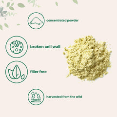 Micro Ingredients polvo de polen en batido, aporta energía fácil de mezclar