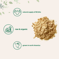 Micro Ingredients scoop medidor sobre polvo para porciones precisas