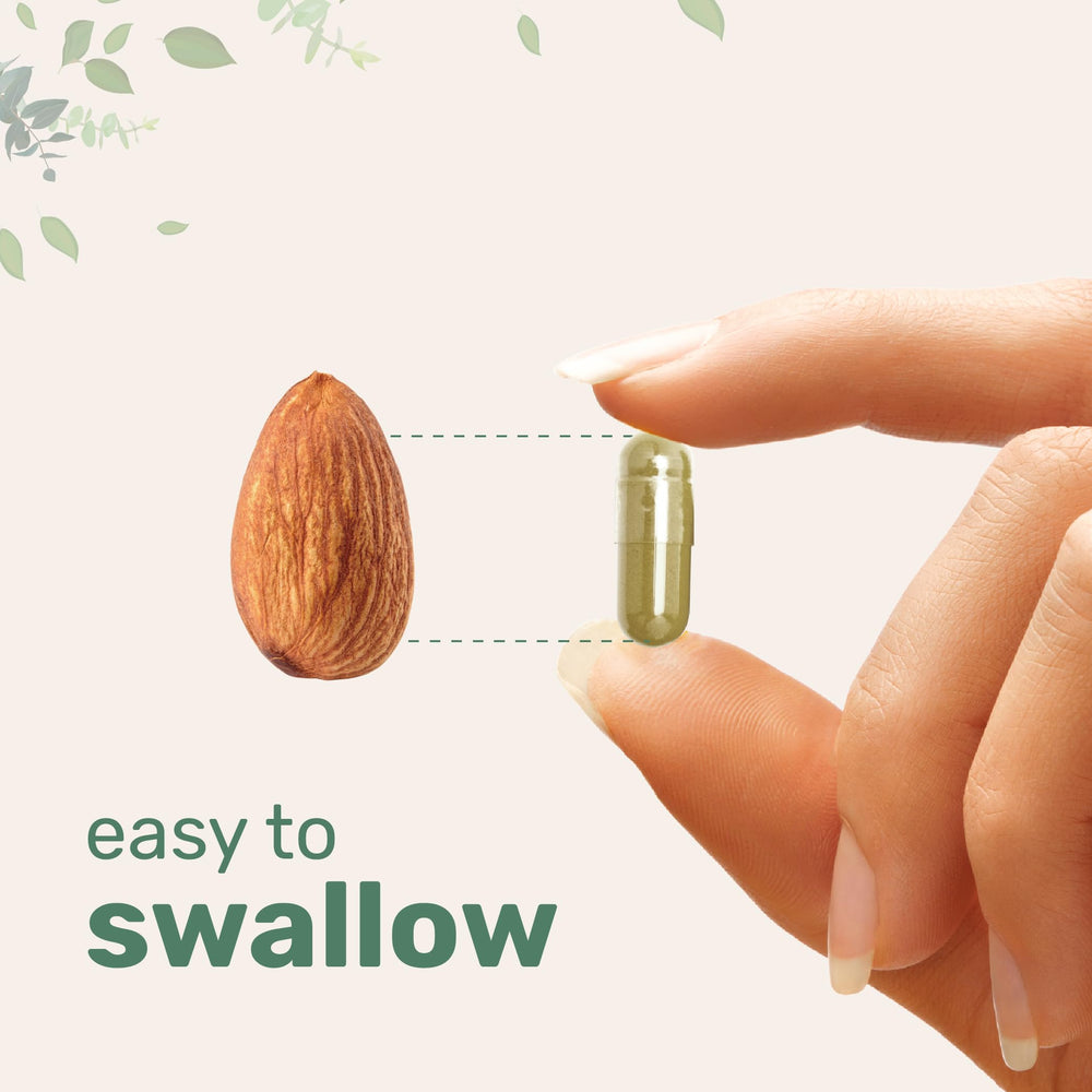 Micro Ingredients frasco junto a una regla para comparar tamaño y dosis