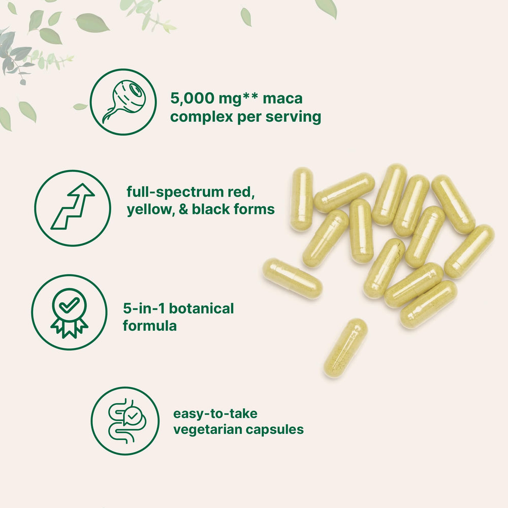 Micro Ingredients polvo de maca gelatinizada para textura y origen
