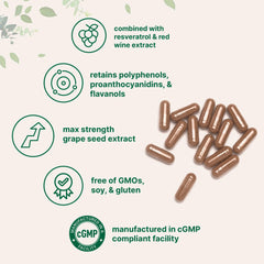 Micro Ingredients textura en polvo cercana que transmite pureza