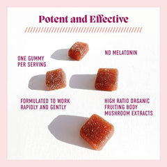 Microjoy ingredientes resaltados reishi y aminoácidos para apoyo a la relajación