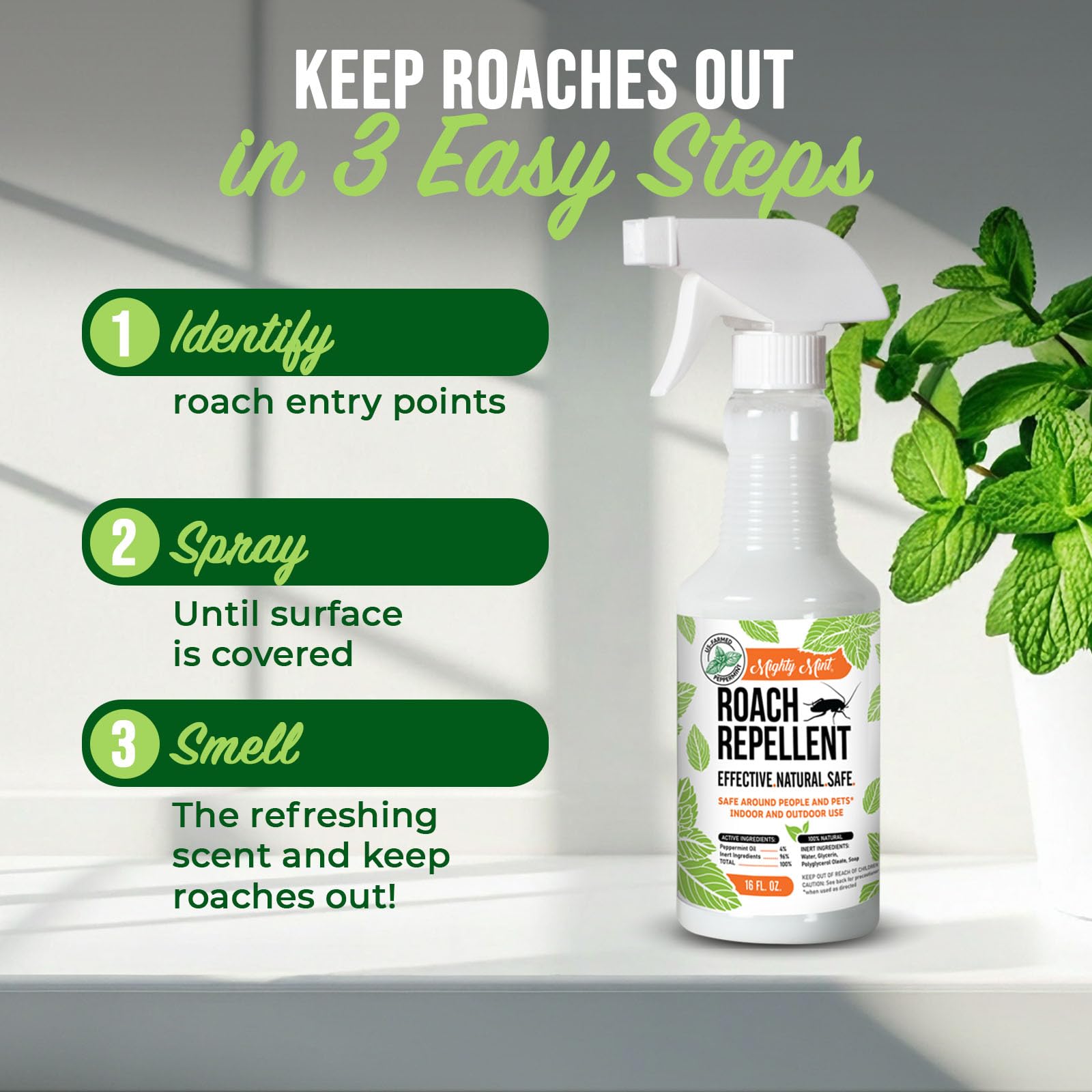Mighty Mint superficie limpia sin manchas tras aplicación y secado