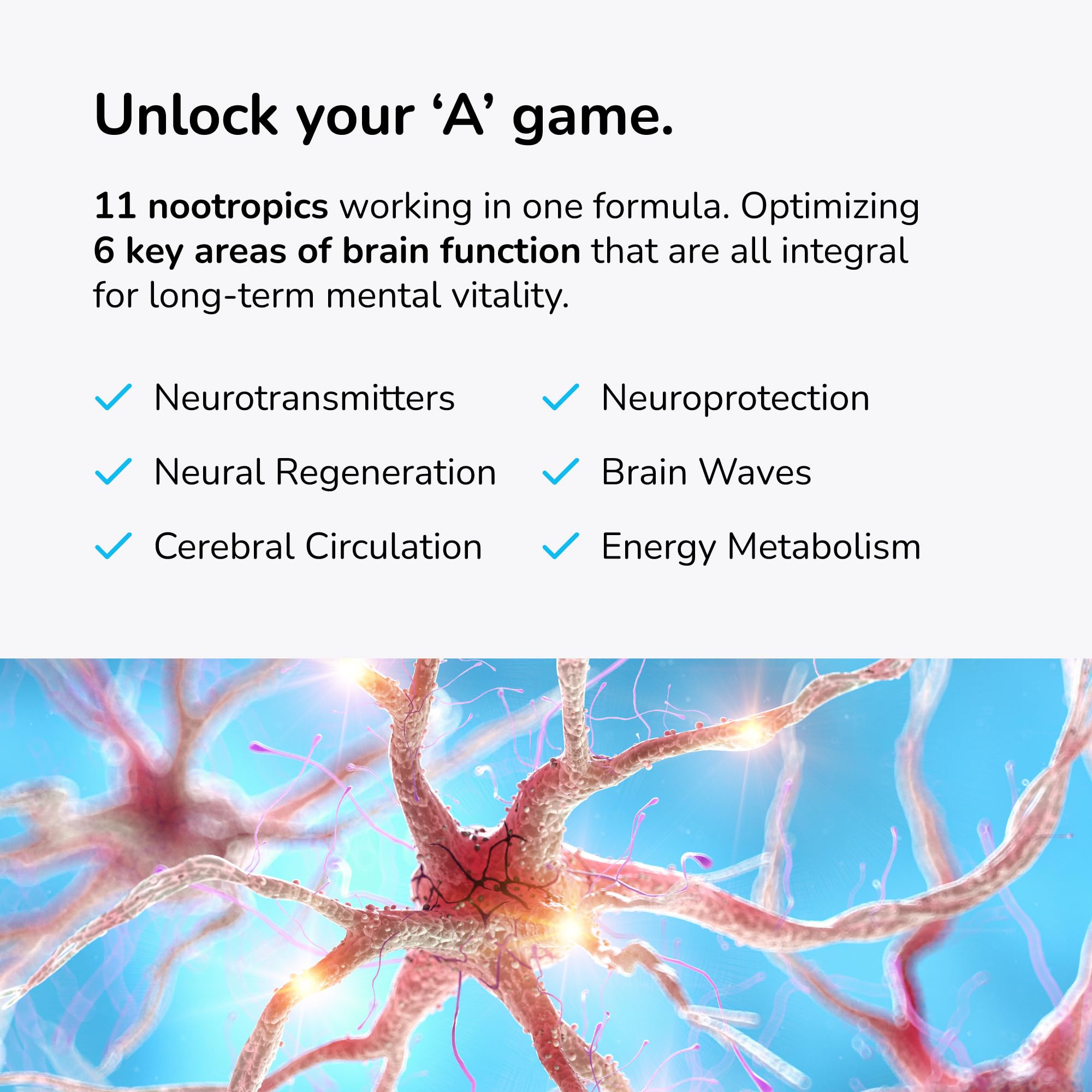 Mind Lab Pro ingredientes en polvo resaltando origen natural