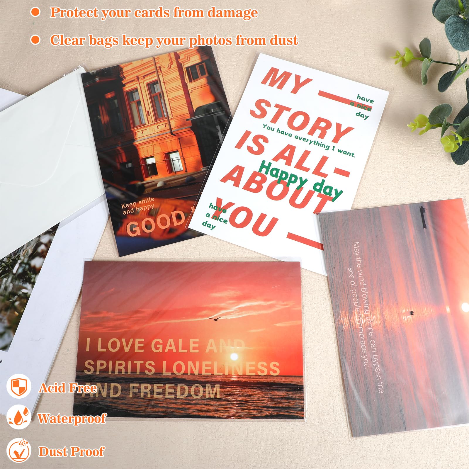 Miraclekoo funda con tarjeta 5x7 visible para exhibición y venta atractiva