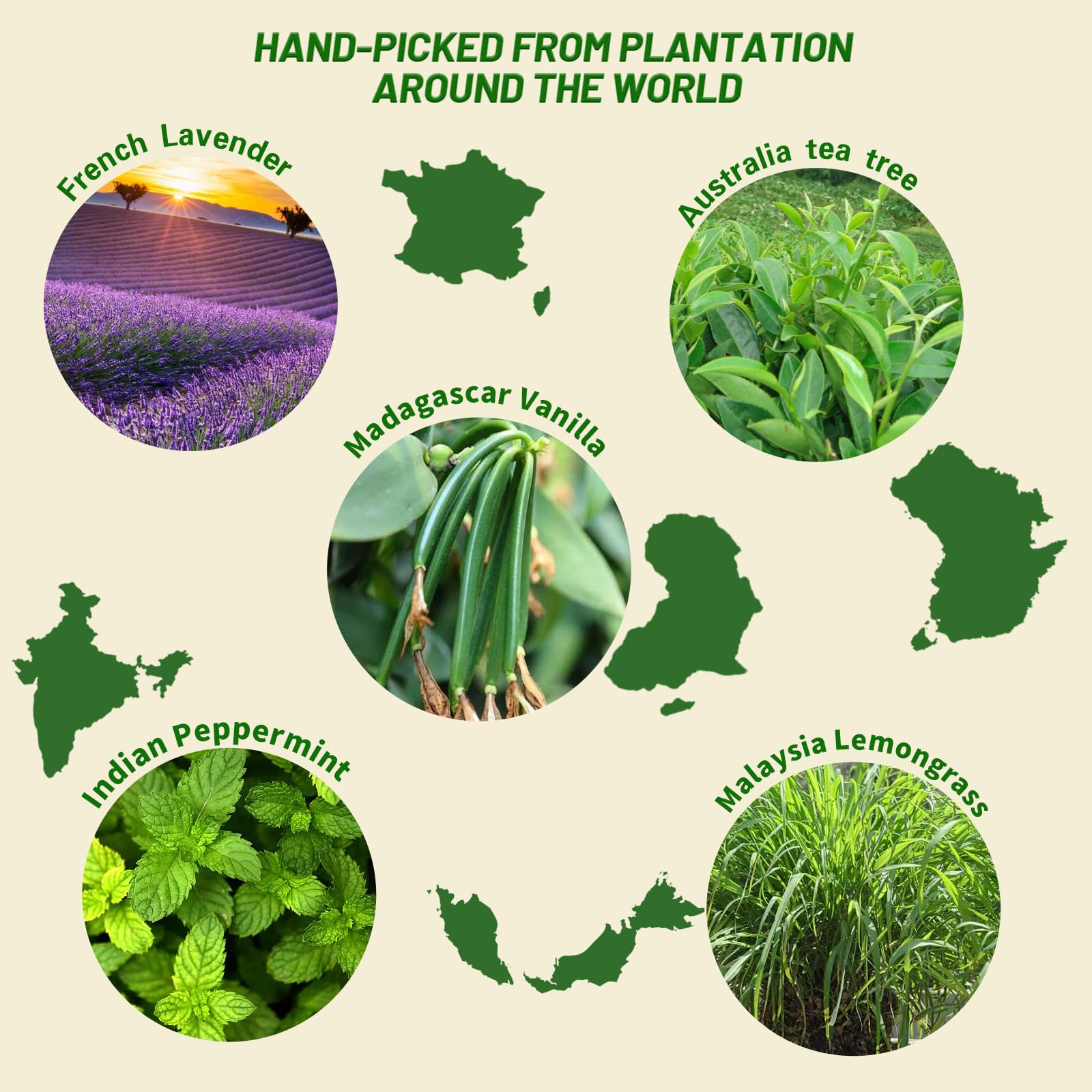 MISIJI materia prima lavanda en campo, beneficio: origen natural controlado