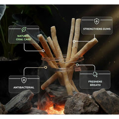 MISWAK estuche de viaje abierto con palito dentro, portátil y seguro