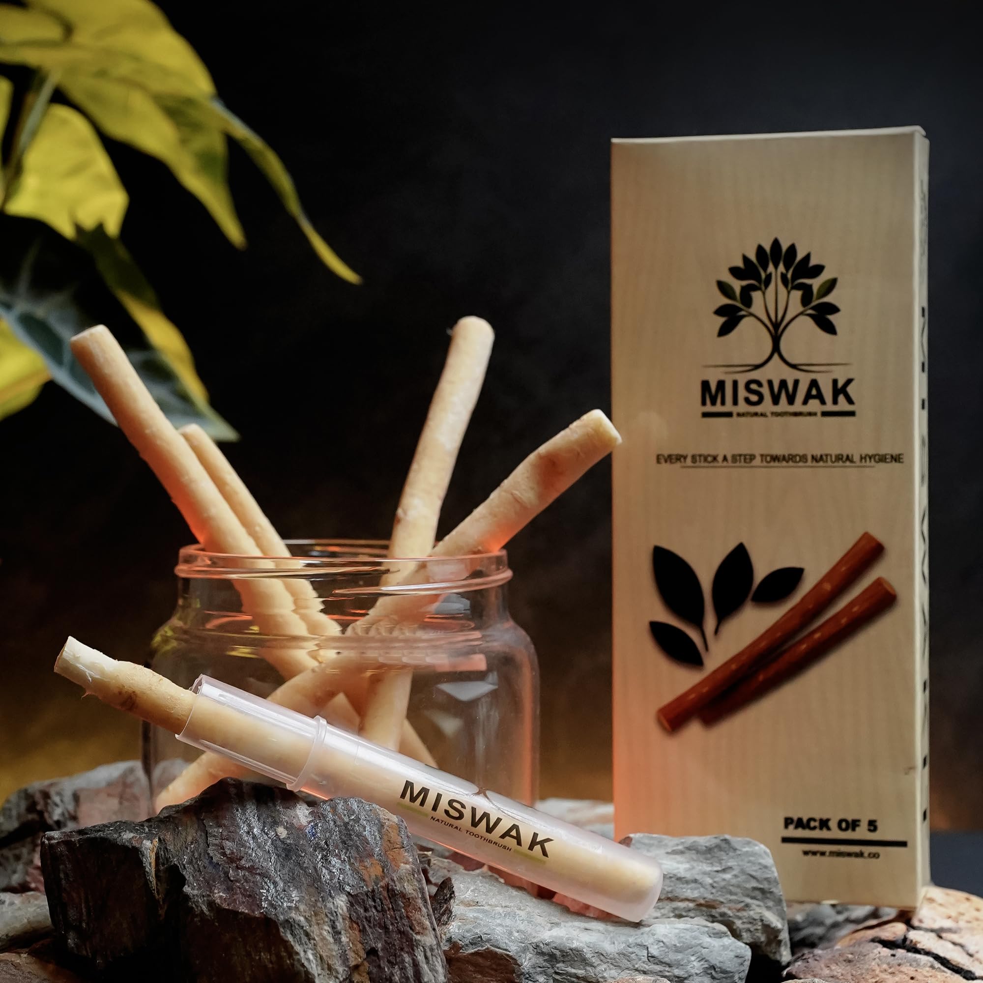 MISWAK vista frontal del paquete sellado y ecológico