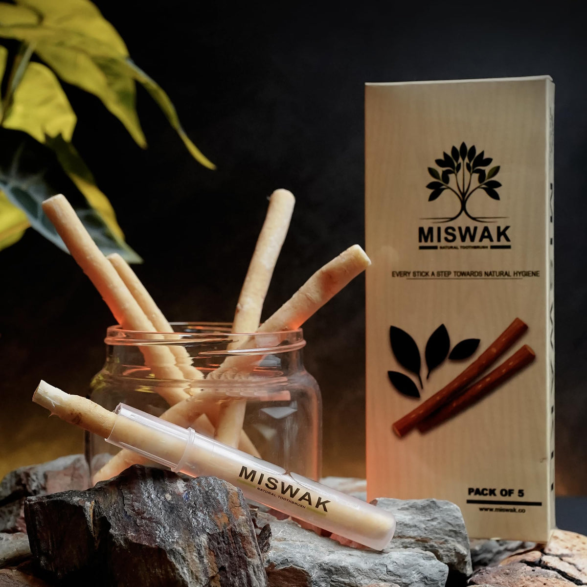 MISWAK vista frontal del paquete sellado y ecológico