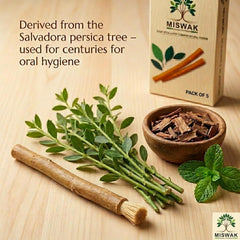 MISWAK sticks envasados al vacío preservando frescura