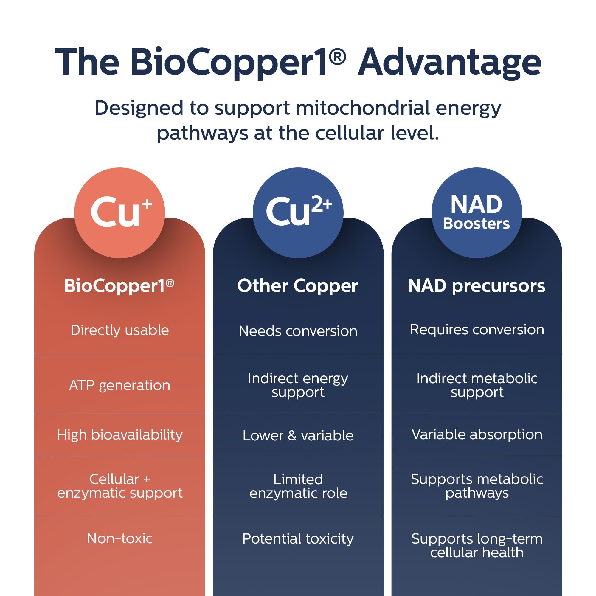Etiqueta de MitoSynergy con ingredientes BioCopper1 y ventaja de bio-disponibilidad