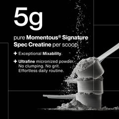 Cucharada de Momentous con 5 g listos para dosificar con precisión