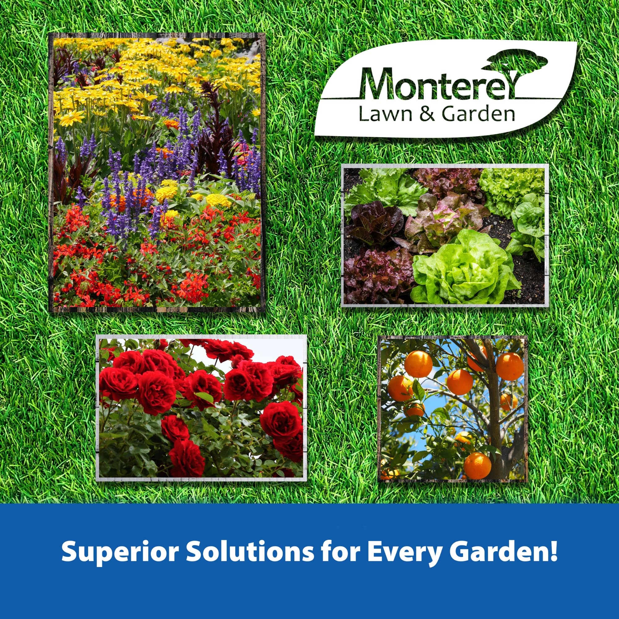 Monterey en jardín con flores y verduras, control eficaz y seguro