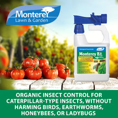 Monterey aplicado en hojas de brócoli, protege cosechas de orugas