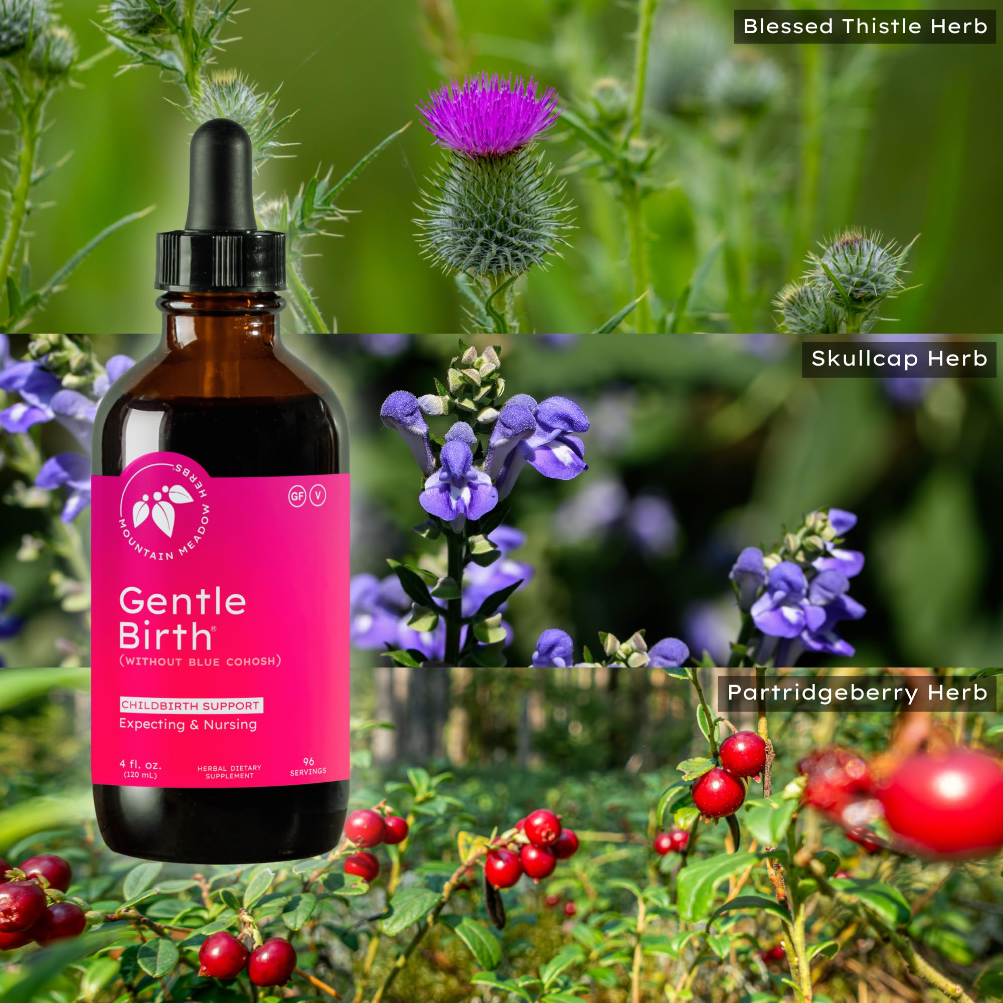 Mountain Meadow Herbs frasco junto a una regla para comparar tamaño y cantidad