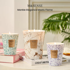 M&SENSE envase reutilizado como maceta demostrando versatilidad decorativa