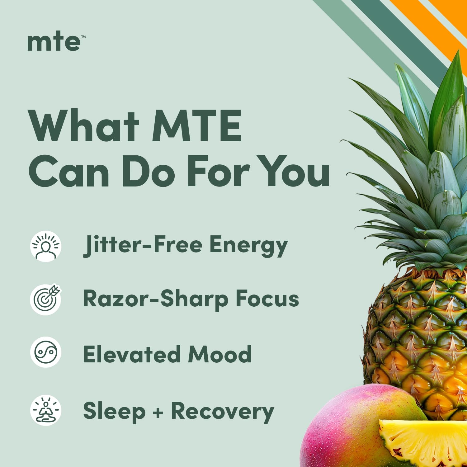 MTE polvo en primer plano que muestra textura fina y disolución rápida