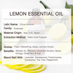 MUNUSNA aceite en difusor creando ambiente fresco y productivo