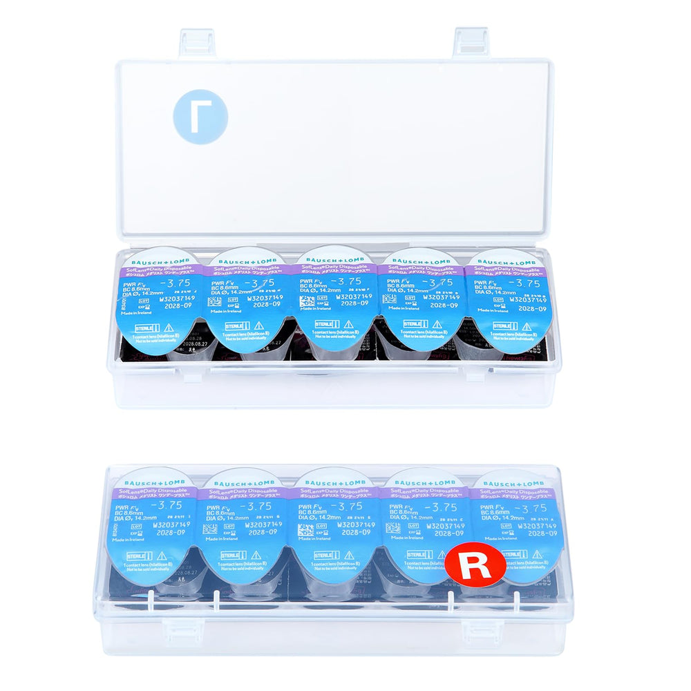 MUQING estuche frontal transparente mostrando capacidad y orden