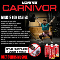 MuscleMeds Carnivor RTD textura del batido chocolate, aspecto cremoso y apetecible