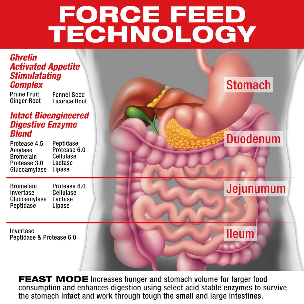 MuscleMeds selección de ingredientes naturales que apoyan apetito y digestión