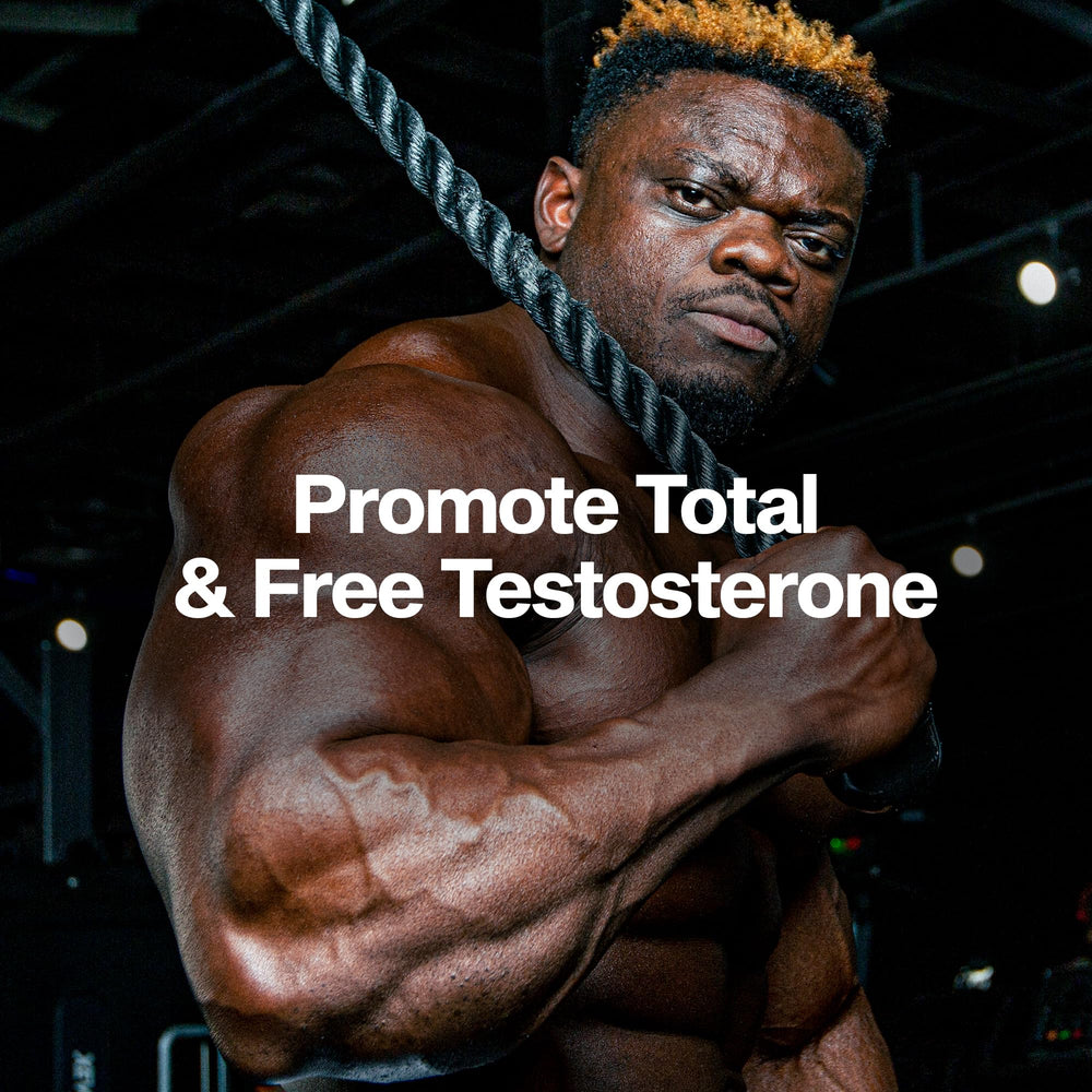 MuscleTech AlphaTest etiqueta de ingredientes destacando dosis clave
