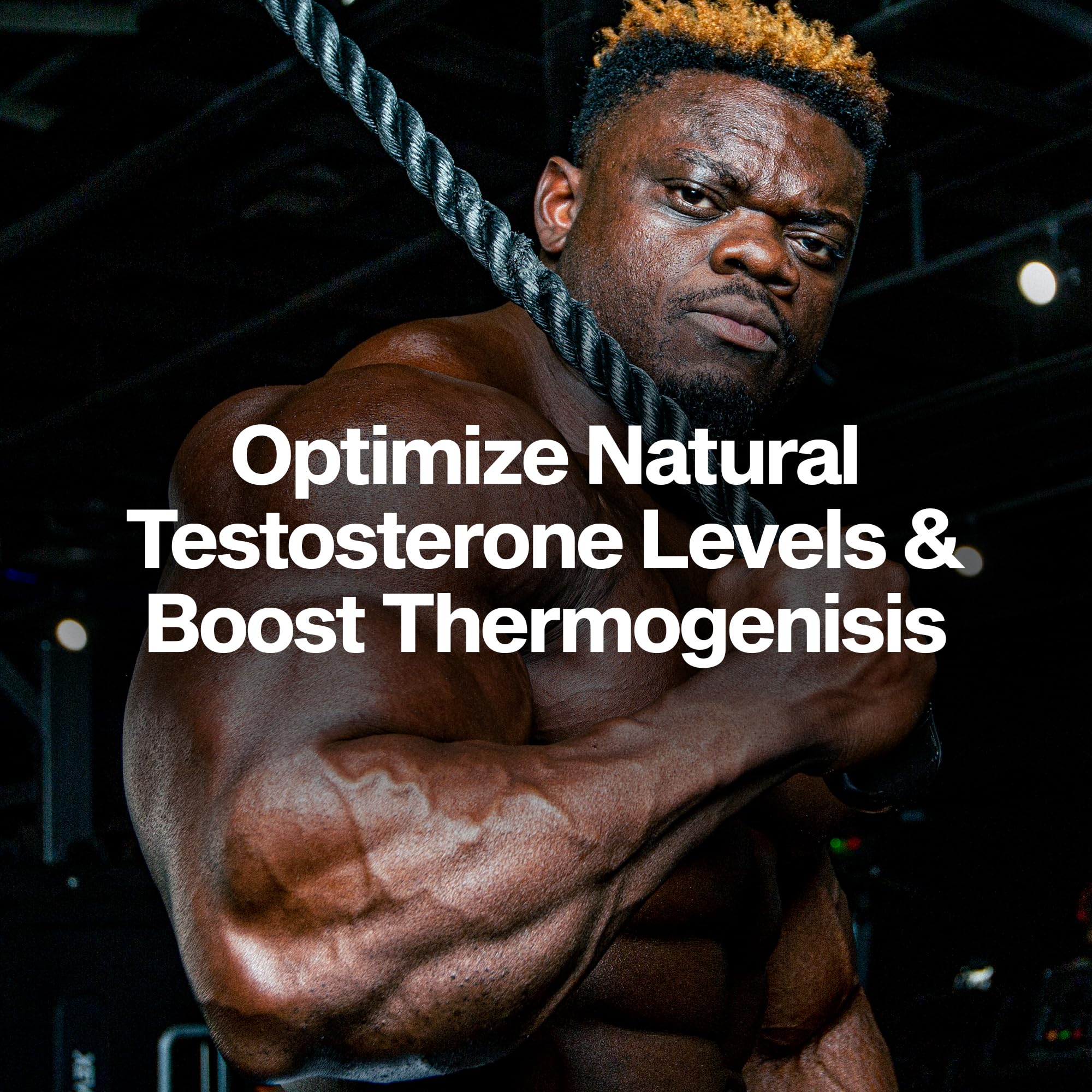 MuscleTech AlphaTest Thermo en mano para comparar tamaño y duración