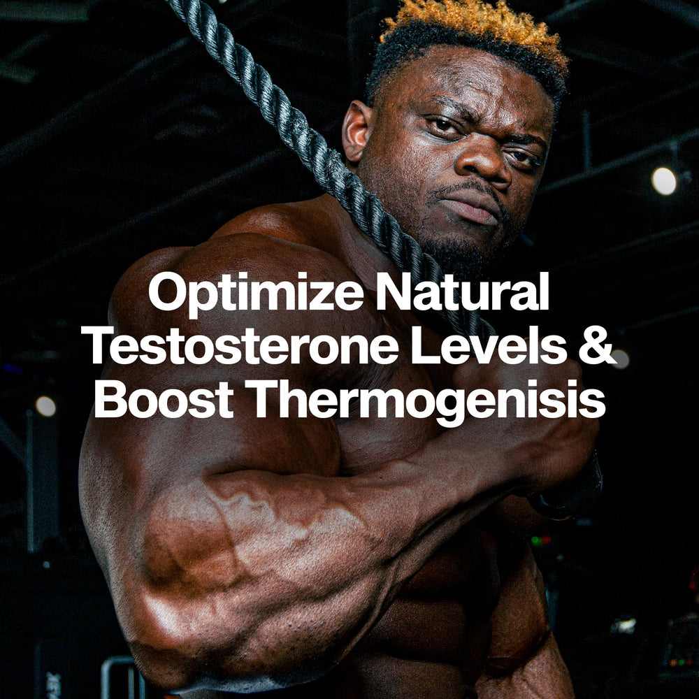 MuscleTech AlphaTest Thermo en mano para comparar tamaño y duración