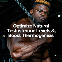 MuscleTech AlphaTest Thermo en mano para comparar tamaño y duración