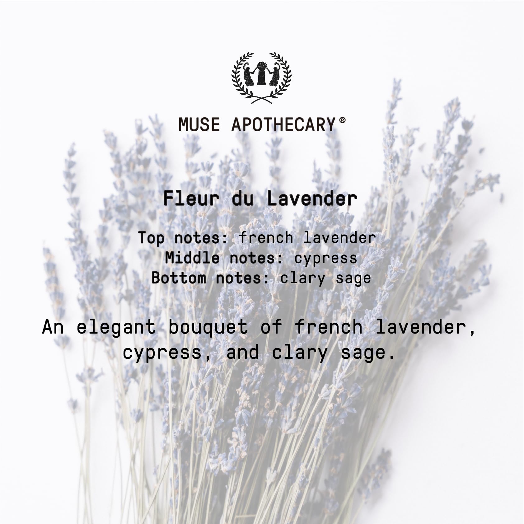 Muse Apothecary caja regalo lista para obsequio con presentación cuidada