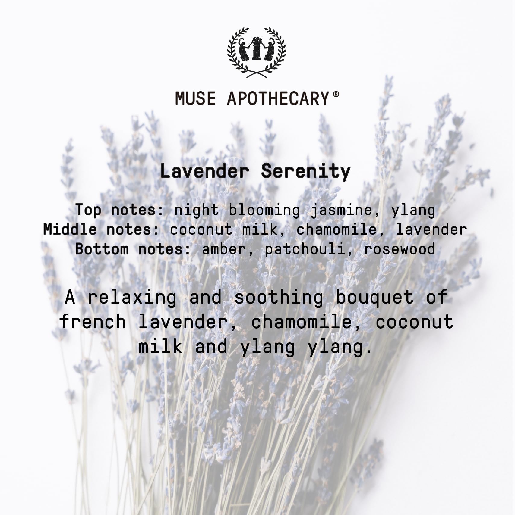 Muse Apothecary envuelto como regalo, presenta opción premium para ocasiones especiales