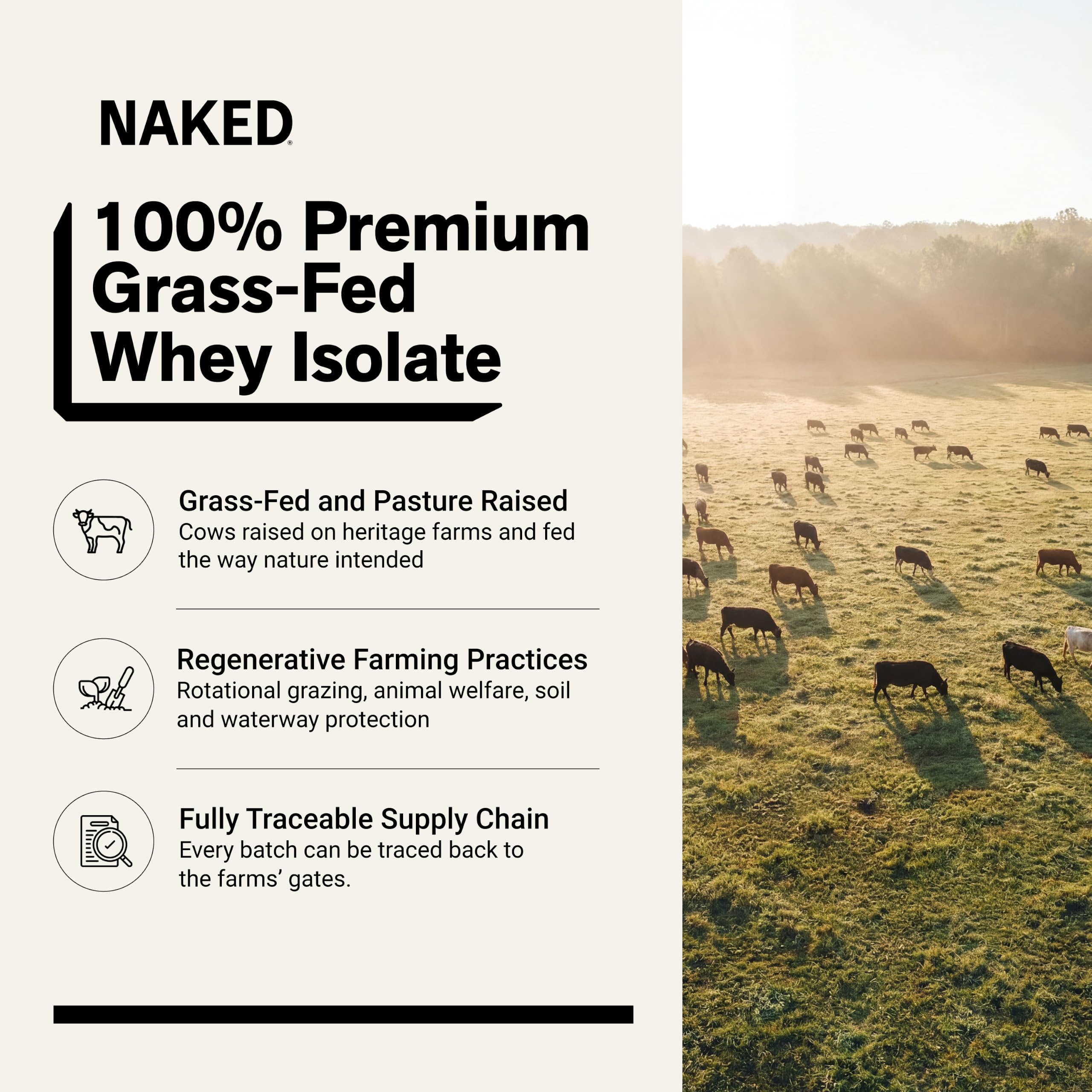 NAKED primer plano del polvo, textura fina para mezclas más solubles