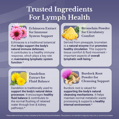 NATION HEALTH MD ingredientes diente de león y bardana que evocan tradición