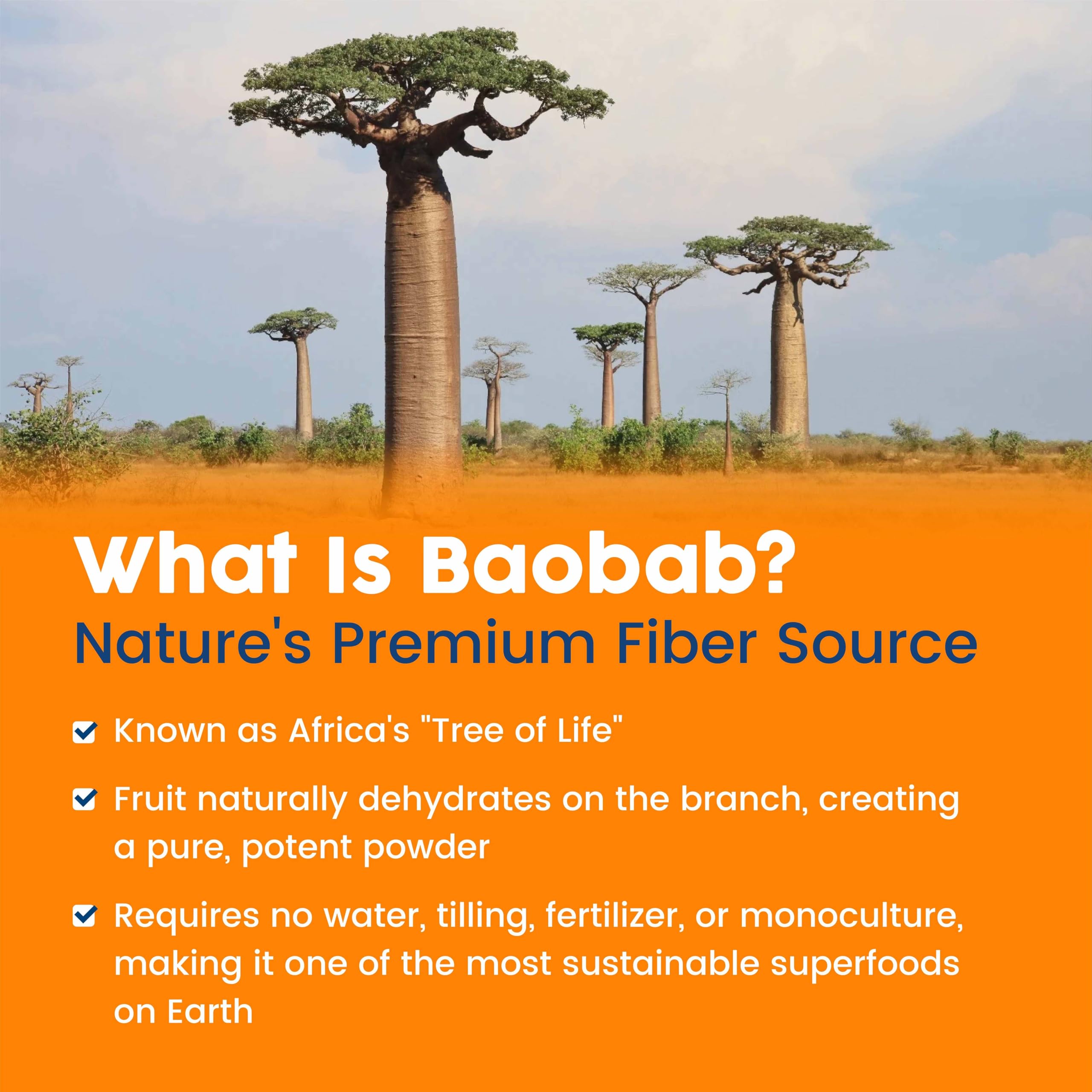 NativePath vaso con bebida de baobab naranja lista para tomar, hidratación sabrosa