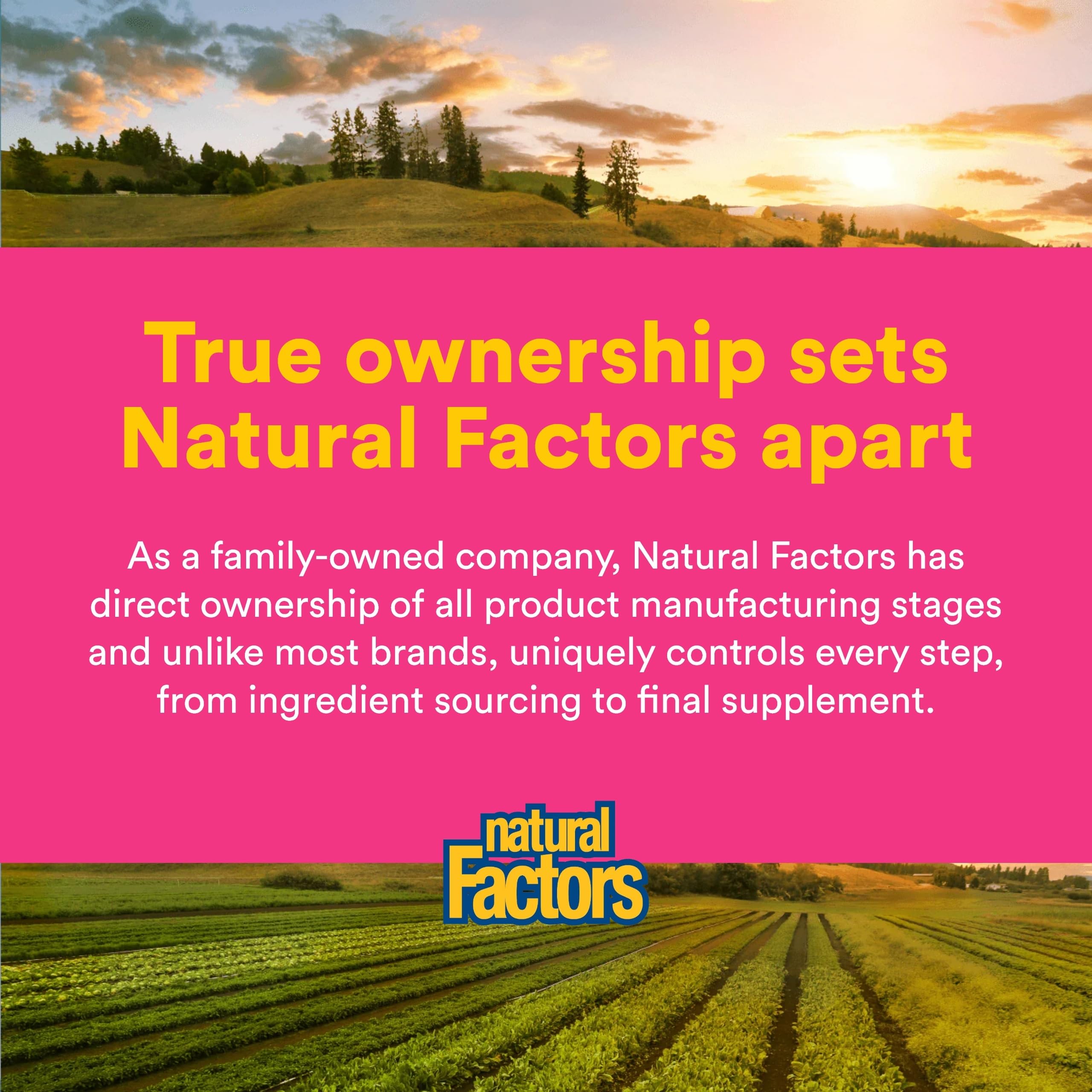 Natural Factors bote sobre mesa de cocina resaltando uso diario y conveniencia