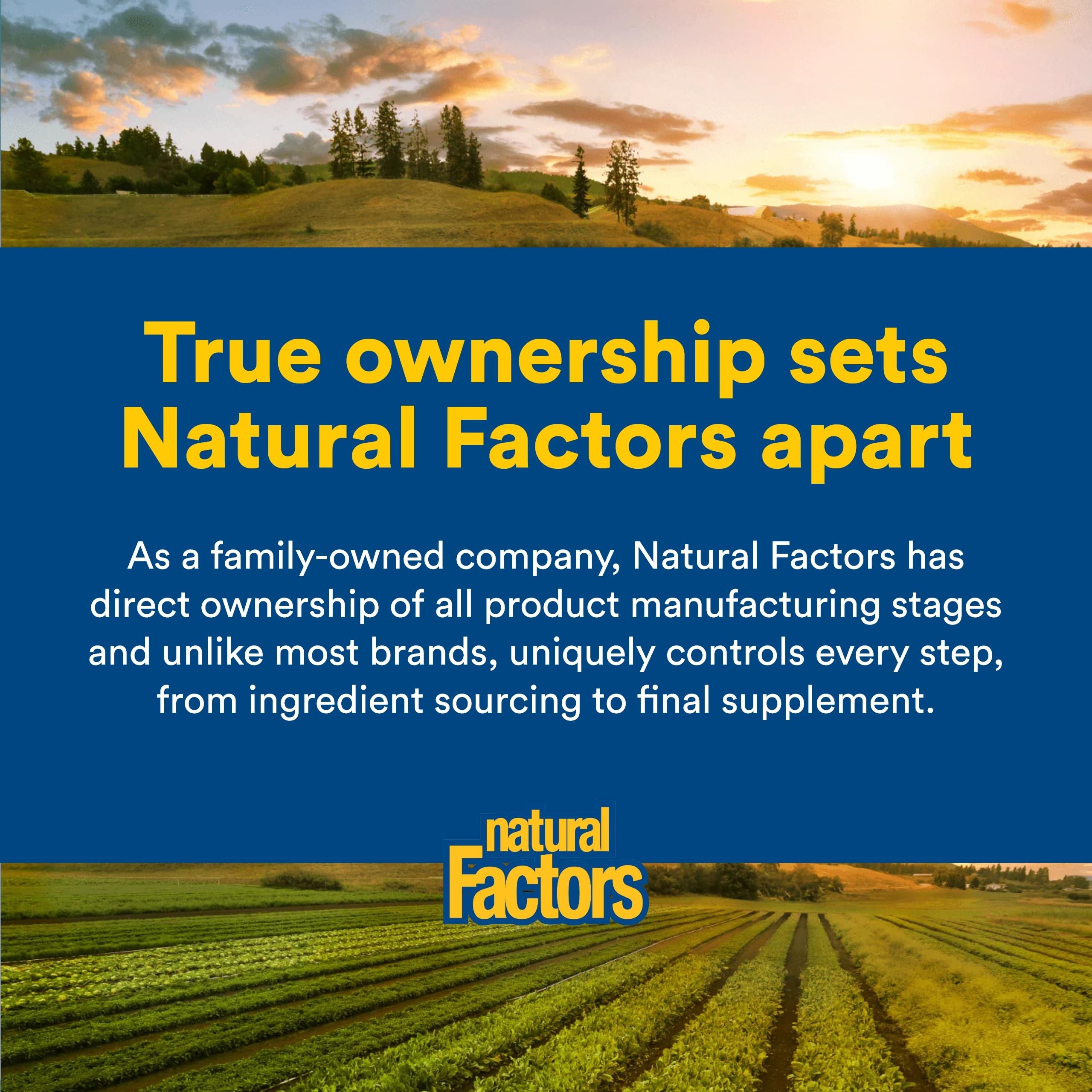 Natural Factors envase sobre mesa de cocina sugiriendo uso cotidiano práctico