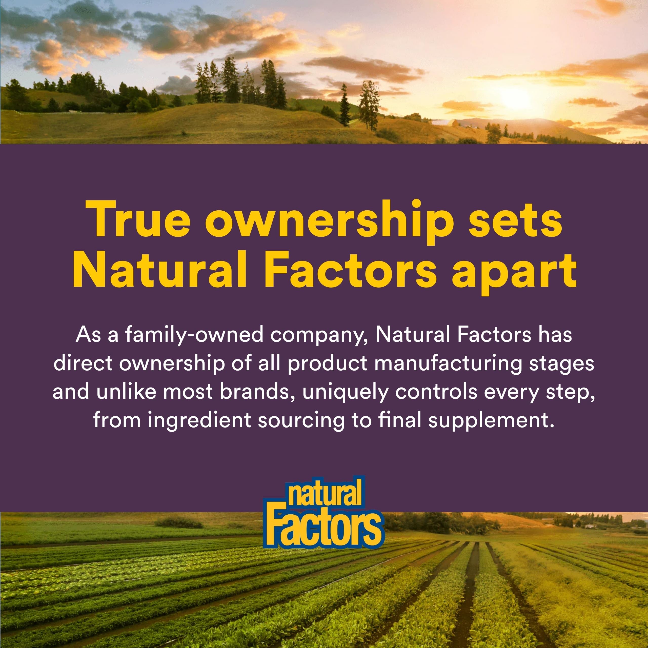 Natural Factors en mesa de desayuno para transmitir uso en rutina saludable