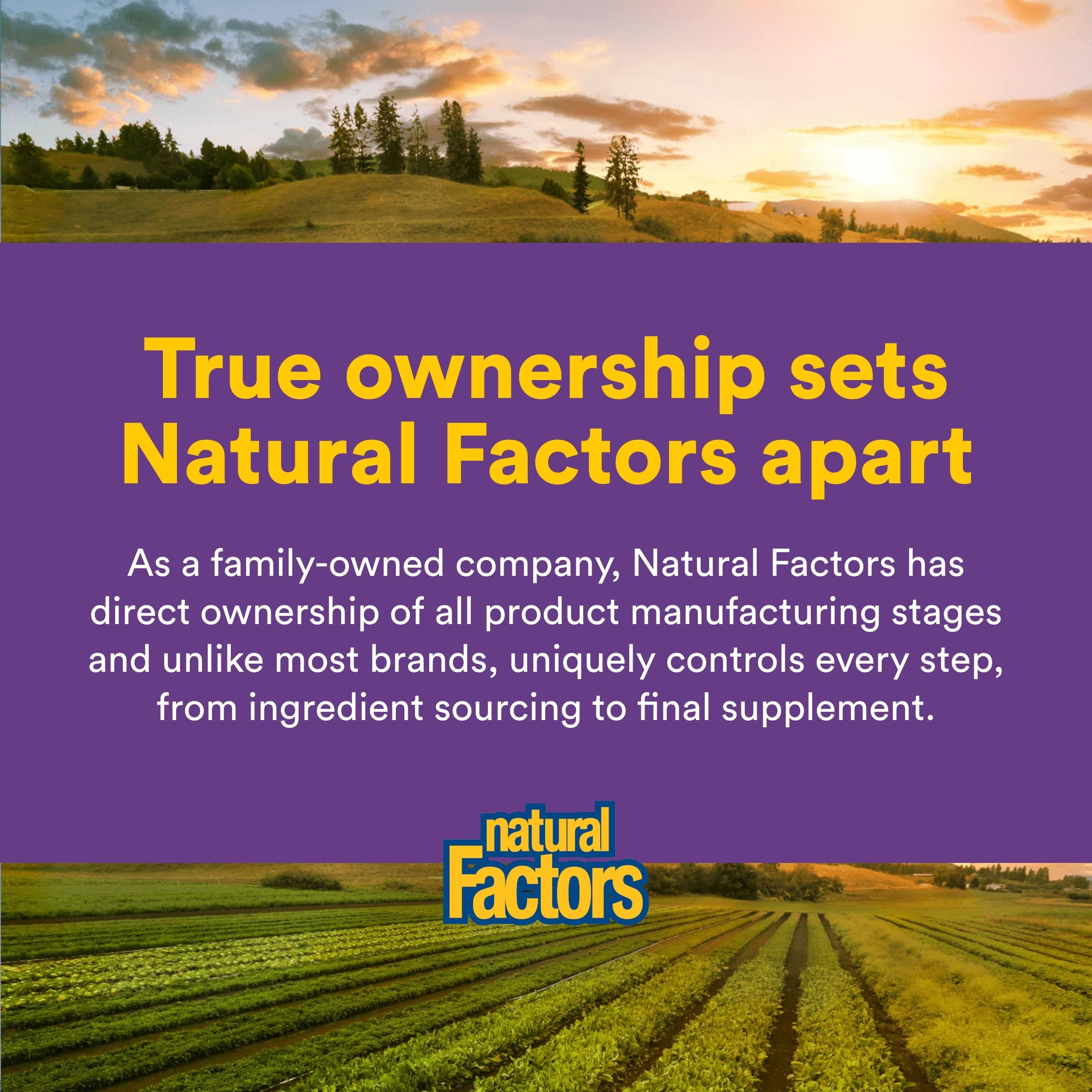 Natural Factors en cocina mezclado en batido para comodidad digestiva