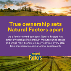 Natural Factors en cocina mezclado en batido para comodidad digestiva