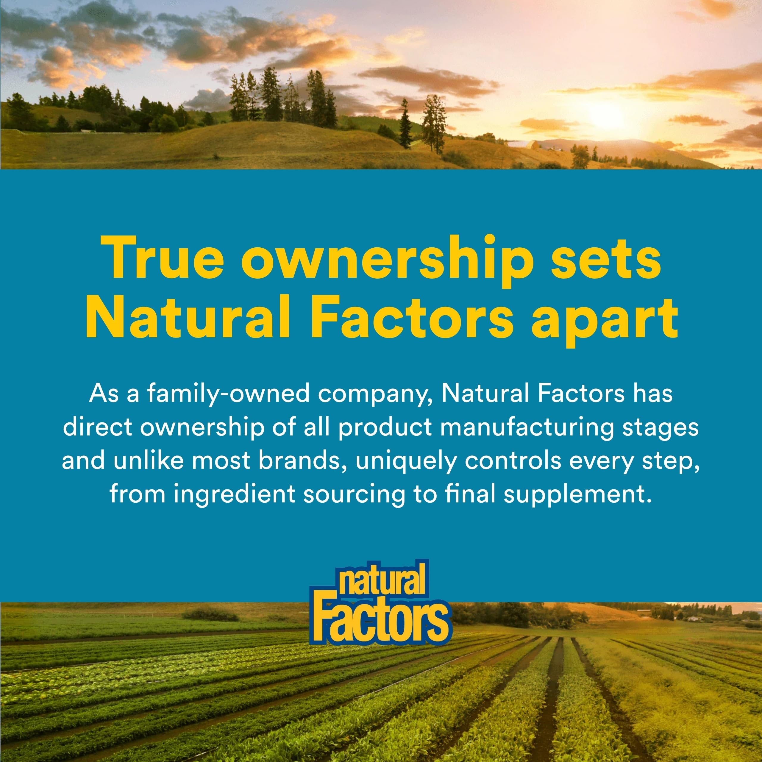 Natural Factors cápsula abierta mostrando contenido en polvo para absorción intestinal
