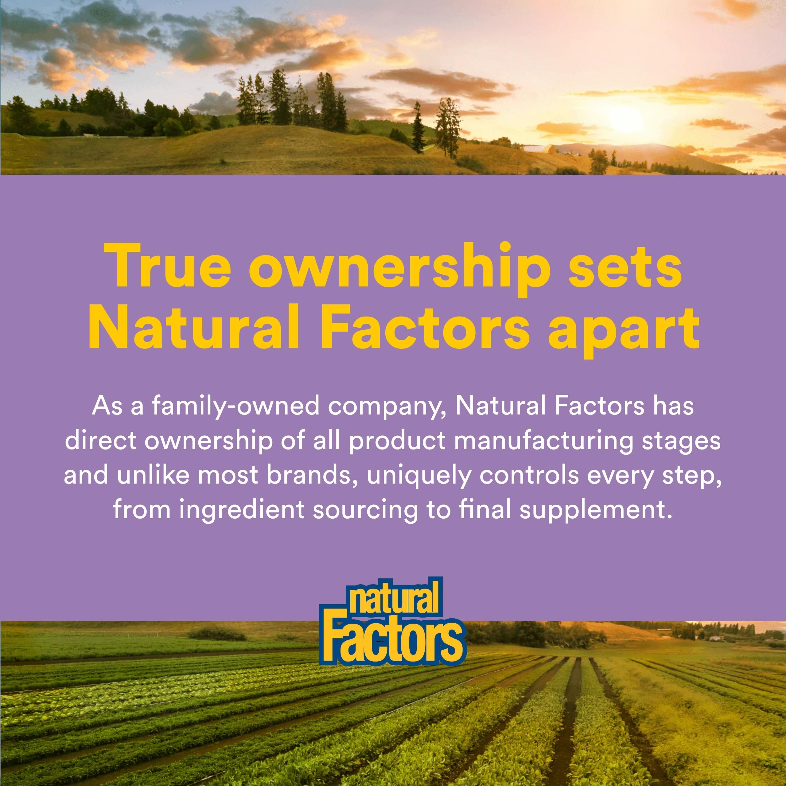 Natural Factors softgel junto a comida saludable sugiere mejor absorción